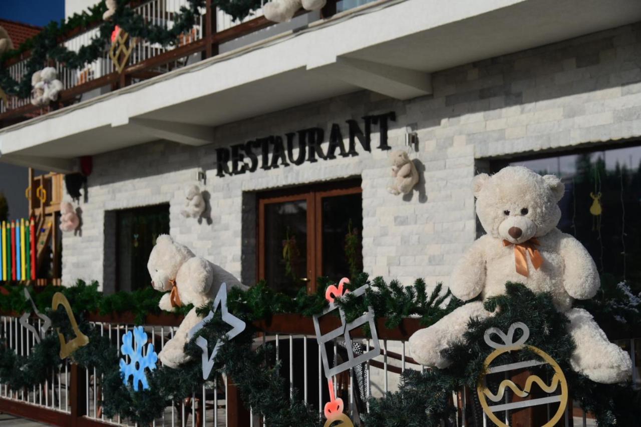 Pensiune Rara Păltiniş Buitenkant foto