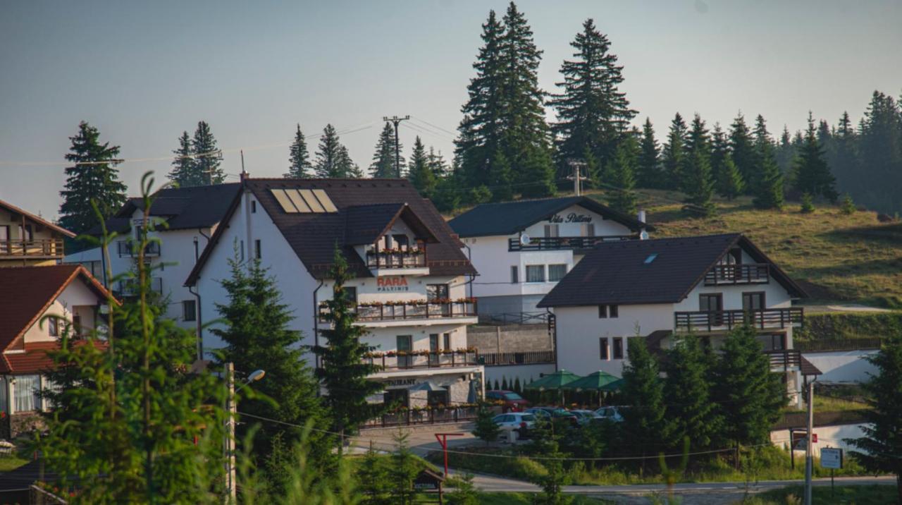 Pensiune Rara Păltiniş Buitenkant foto