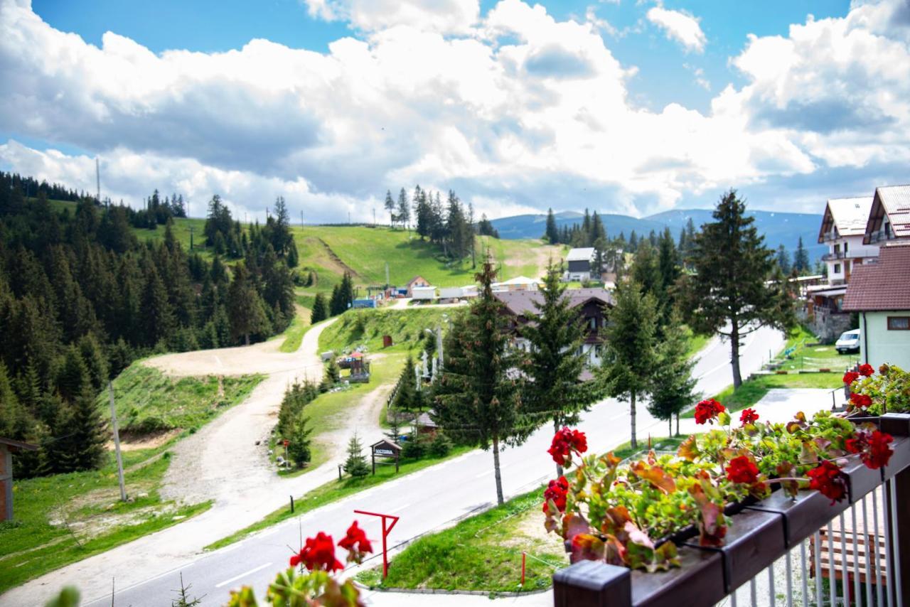 Pensiune Rara Păltiniş Buitenkant foto